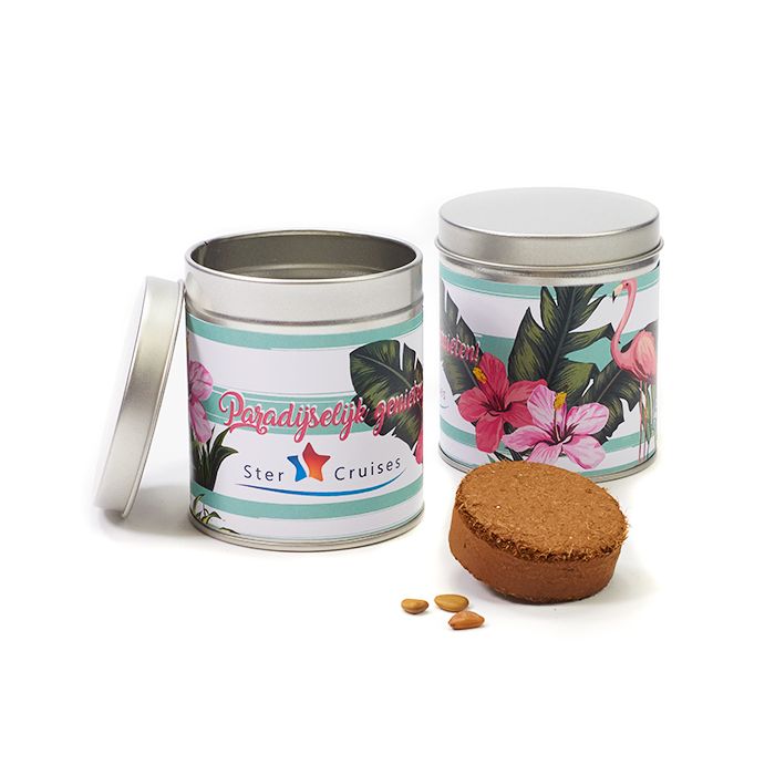 Paradijsvogelbloem kweeksetje