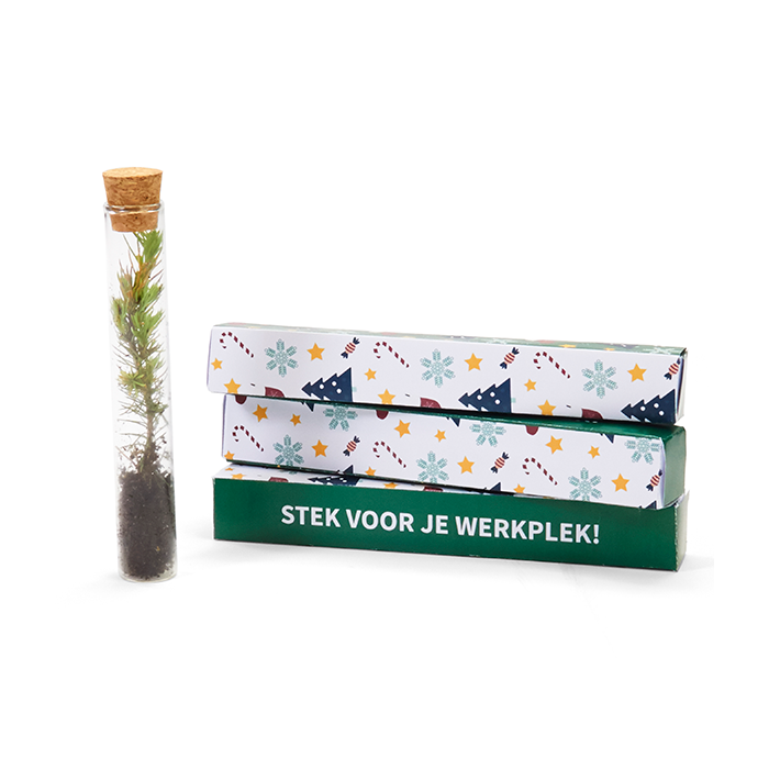 Stek voor je werkplek boom in buisje
