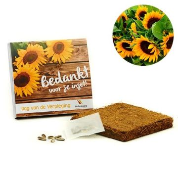 Kweekreep Zonnebloemen