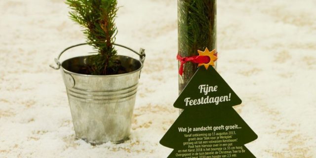 Wat je aandacht geeft groeit...