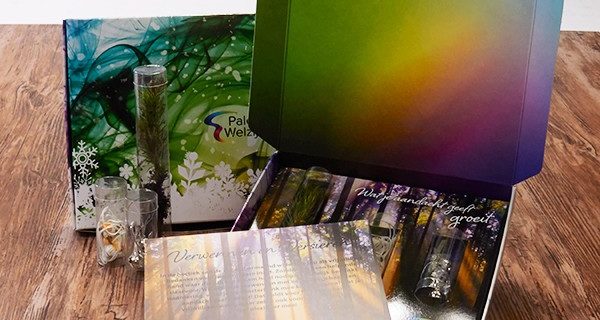 Wat je aandacht geeft groeit - Palet welzijn